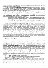 Sandorių negaliojimo pagrindai 11 puslapis