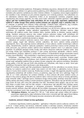 Sandorių negaliojimo pagrindai 12 puslapis