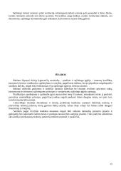 Sandorių negaliojimo pagrindai 15 puslapis