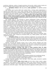 Sandorių negaliojimo pagrindai 10 puslapis