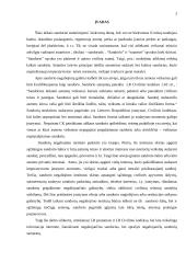 Sandorių negaliojimo samprata 2 puslapis