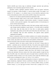 Sandorių negaliojimo samprata 6 puslapis