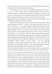 Sandorių negaliojimo samprata 7 puslapis