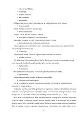 Sangvinikas arba isteriška asmenybė 6 puslapis