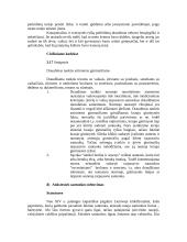 Santuokos sudarymas 5 puslapis