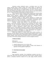 Santuokos sudarymas 7 puslapis