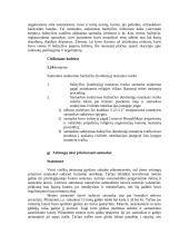 Santuokos sudarymas 8 puslapis