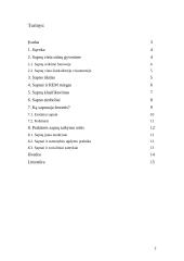 Sapnų reikšmė 2 puslapis