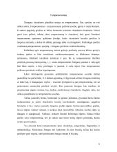 Savęs pažinimo reikšmė žmogaus gyvenime 6 puslapis