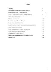 Savęs tobulinimo programa (gyvenimas pagal vidinį laikrodį) 2 puslapis