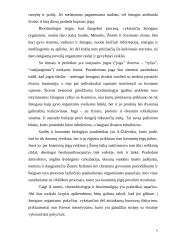 Savęs tobulinimo programa (gyvenimas pagal vidinį laikrodį) 6 puslapis