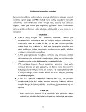 Savikontrolės problemos 5 puslapis