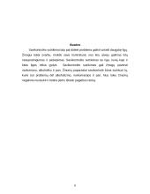 Savikontrolės problemos 8 puslapis