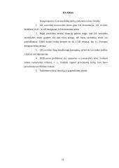 Savininko nuosavybės teisių gynimas 13 puslapis