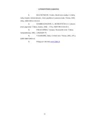 Savininko nuosavybės teisių gynimas 15 puslapis