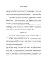 Savistaba ir jos esmė 2 puslapis