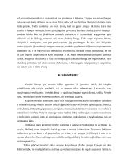 Savistaba ir jos esmė 3 puslapis