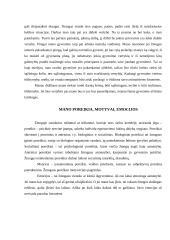 Savistaba ir jos esmė 4 puslapis