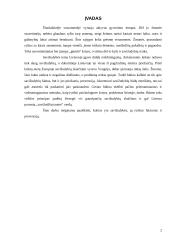 Savižudybė - krizės apraiška 2 puslapis