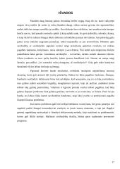 Savižudybė - krizės apraiška 17 puslapis