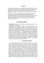 Savižudybės priežastys bei etapai 2 puslapis