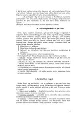 Savižudybės priežastys bei etapai 3 puslapis