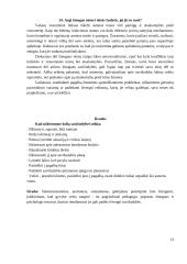 Savižudybės reiškinys 13 puslapis