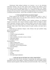 Savižudybės reiškinys 9 puslapis