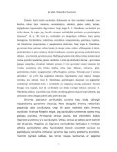 Savižudybės analizavimas 2 puslapis