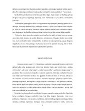 Savižudybės analizavimas 5 puslapis