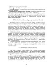 Savižudybės kaip socialinė problema. Savižudybės jaunimo tarpe 6 puslapis