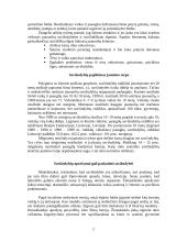 Savižudybių problemos 2 puslapis