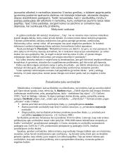 Savižudybių vaikų amžiuje priežastys 11 puslapis