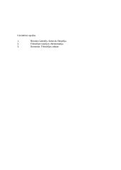 Senekos laimės samprata 9 puslapis