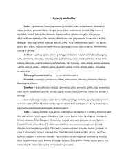 Spalvos mūsų gyvenime 2 puslapis