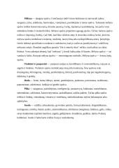 Spalvos mūsų gyvenime 3 puslapis