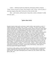 Spalvos mūsų gyvenime 5 puslapis