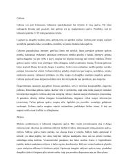 Spalvos suvokimo psichologija 6 puslapis