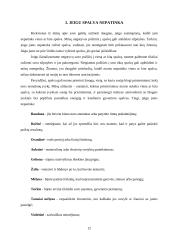 Spalvų terapija ir psichologija 12 puslapis