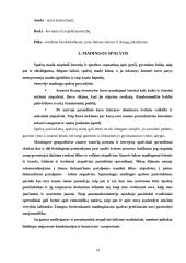 Spalvų terapija ir psichologija 13 puslapis