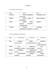 Spalvų terapija ir psichologija 14 puslapis