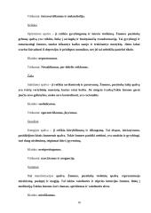 Spalvų terapija ir psichologija 16 puslapis