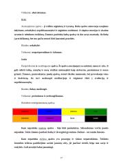 Spalvų terapija ir psichologija 17 puslapis