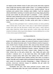 Spalvų terapija ir psichologija 6 puslapis