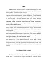 Specialiųjų ugdymo poreikių vaikų integruotas ugdymas Lieporių vidurinėje mokykloje 3 puslapis