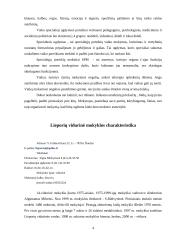 Specialiųjų ugdymo poreikių vaikų integruotas ugdymas Lieporių vidurinėje mokykloje 4 puslapis