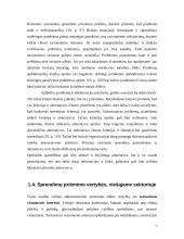 Sprendimų priėmimo samprata viešajame administravime 7 puslapis