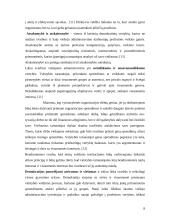 Sprendimų priėmimo samprata viešajame administravime 8 puslapis