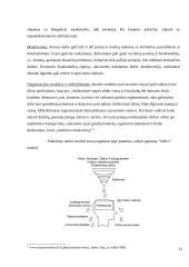 Stresai asmeniniame gyvenime ir organizacijoje 12 puslapis