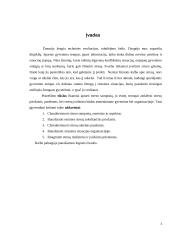 Stresai asmeniniame gyvenime ir organizacijoje 3 puslapis